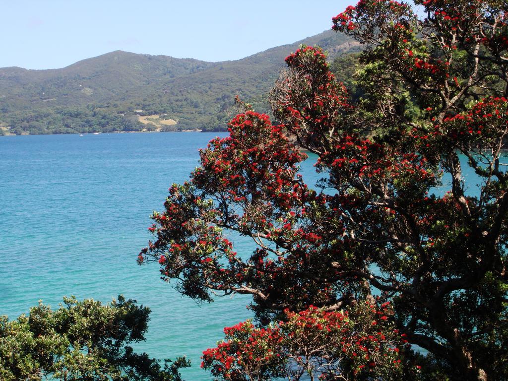 Manuka Lodge Tryphena Buitenkant foto